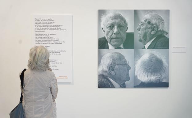 Una mujer observa el texto que acompaña a un mosaico de retratos del escritor.