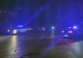 Patrullas de la Policía Local y de la Policía Nacional, anoche, en Segovia.