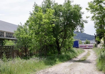 Un mastín se escapa de una finca ocupada y ataca a otro perro y a un transeúnte