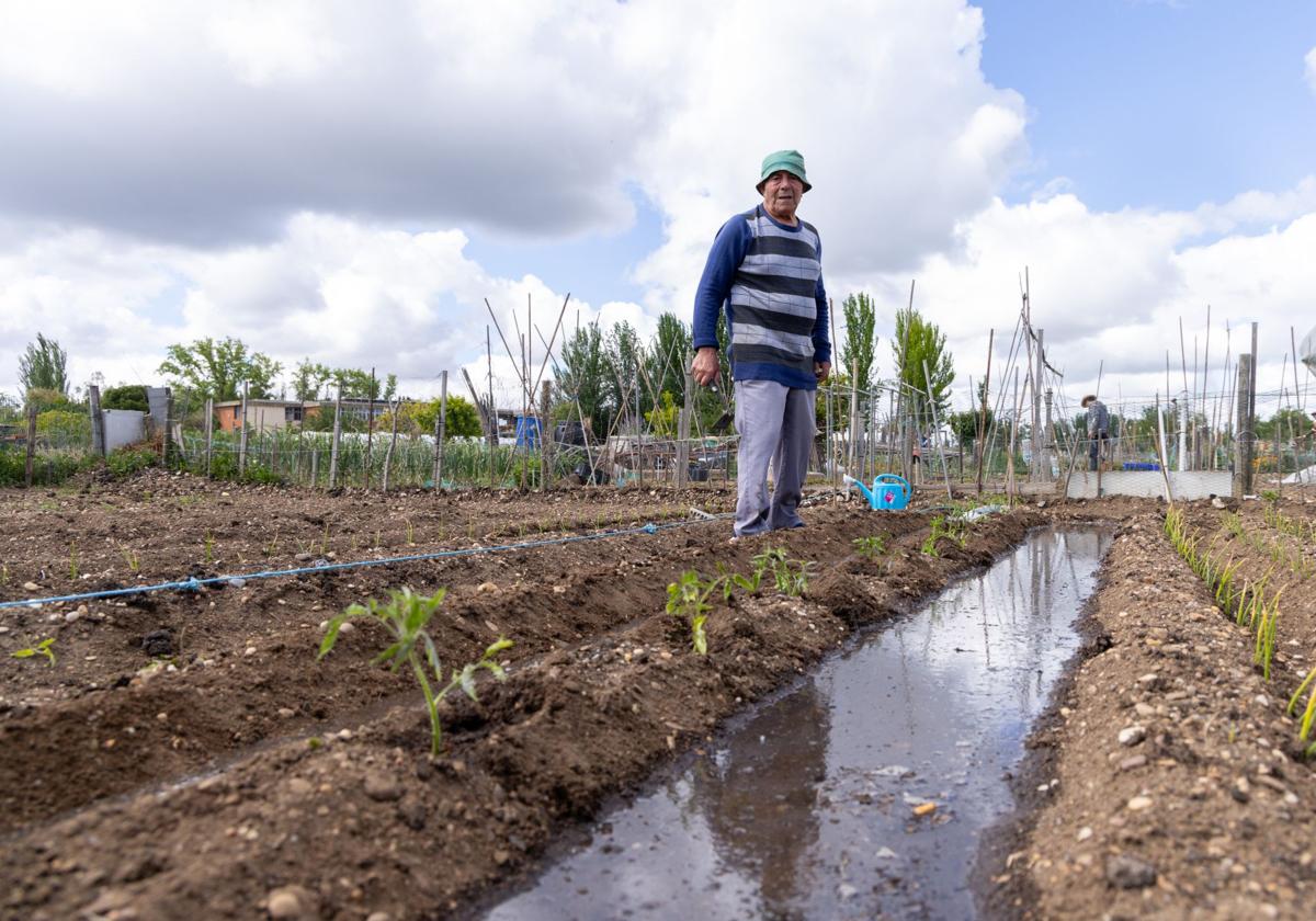 El Ayuntamiento e INEA renuevan su programa de huertos ecológicos
