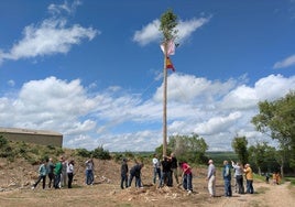 Familiares y amigos ayudaron a los quintos torreños a izar el mayo