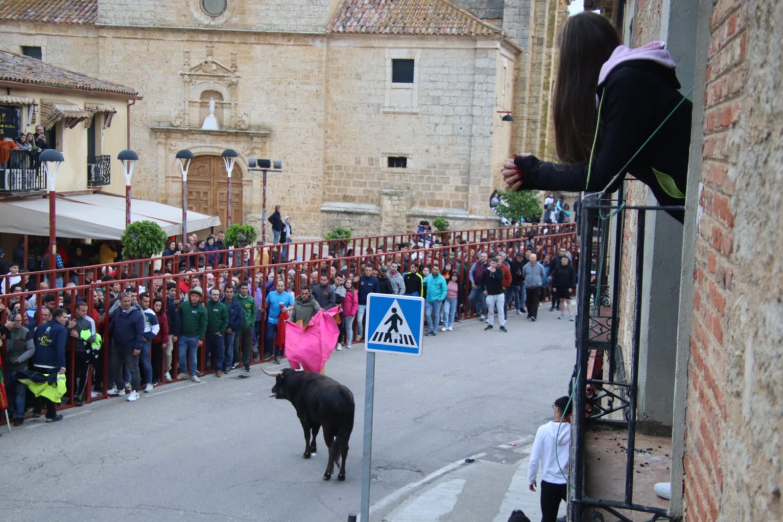 Emoción en Villabrágima con el VII Toro de la Santa Cruz