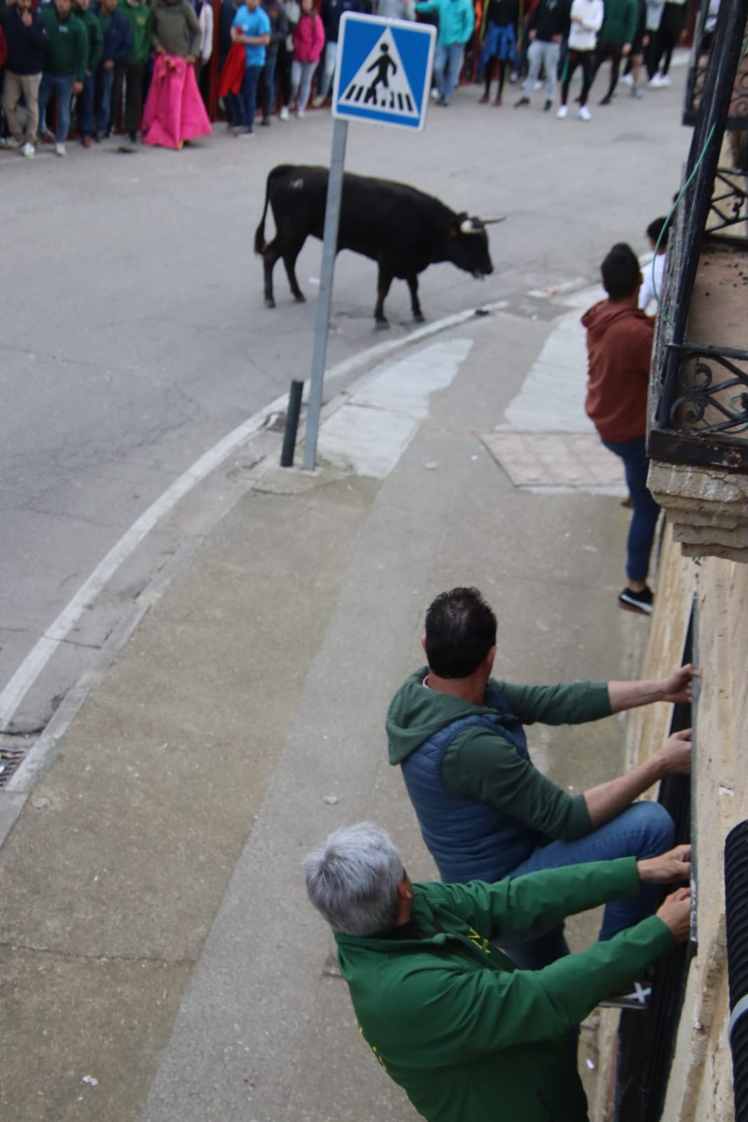 Emoción en Villabrágima con el VII Toro de la Santa Cruz