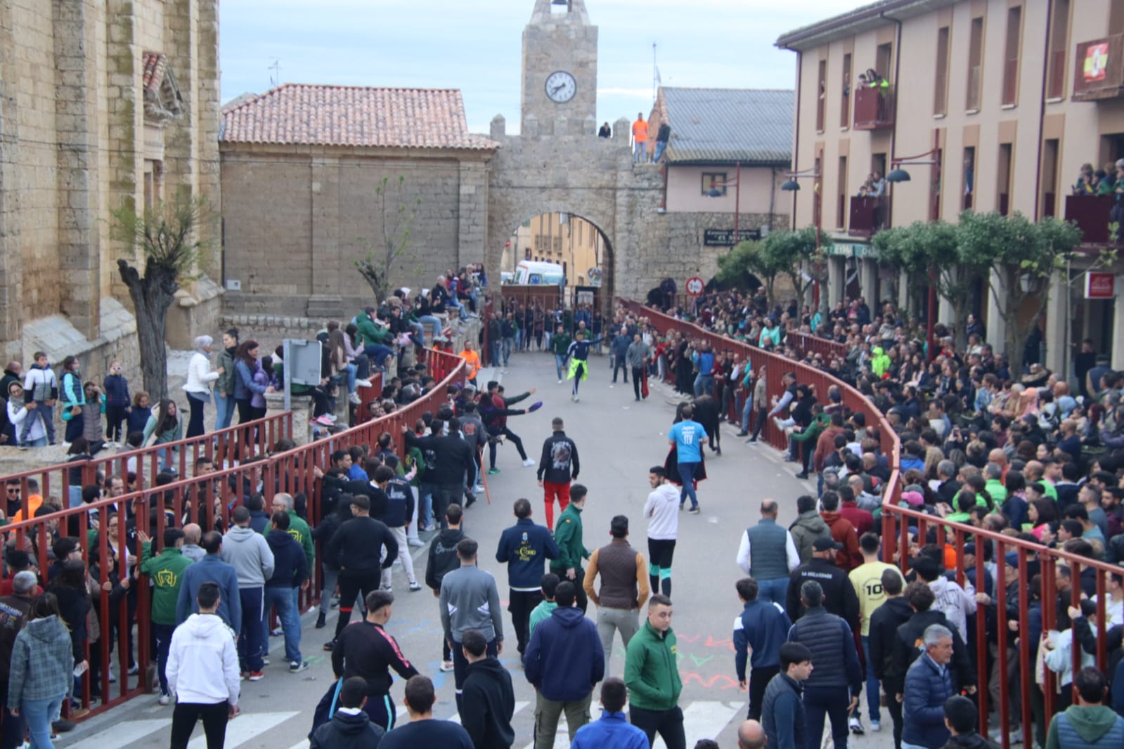 Emoción en Villabrágima con el VII Toro de la Santa Cruz