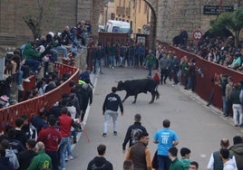 Cientos de aficionados siguieron la suelta del novillo en la plaza Mayor