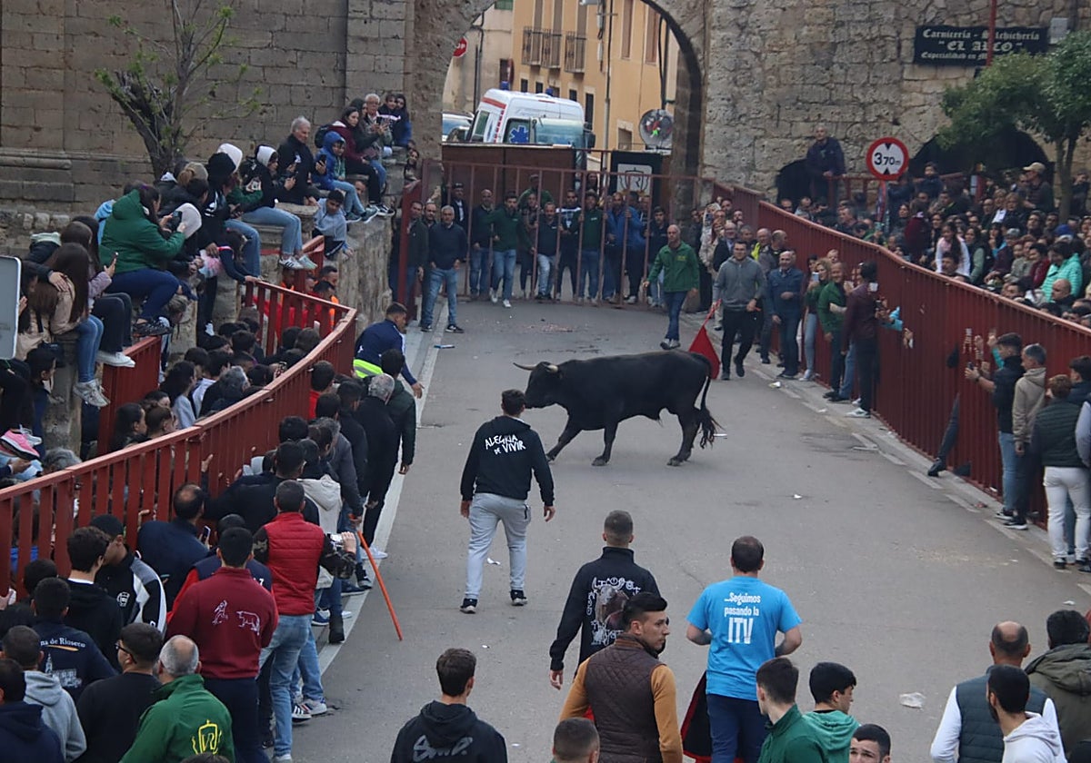 Valladolid: Cientos de aficionados disfrutan en Villabrágima con el VII ...