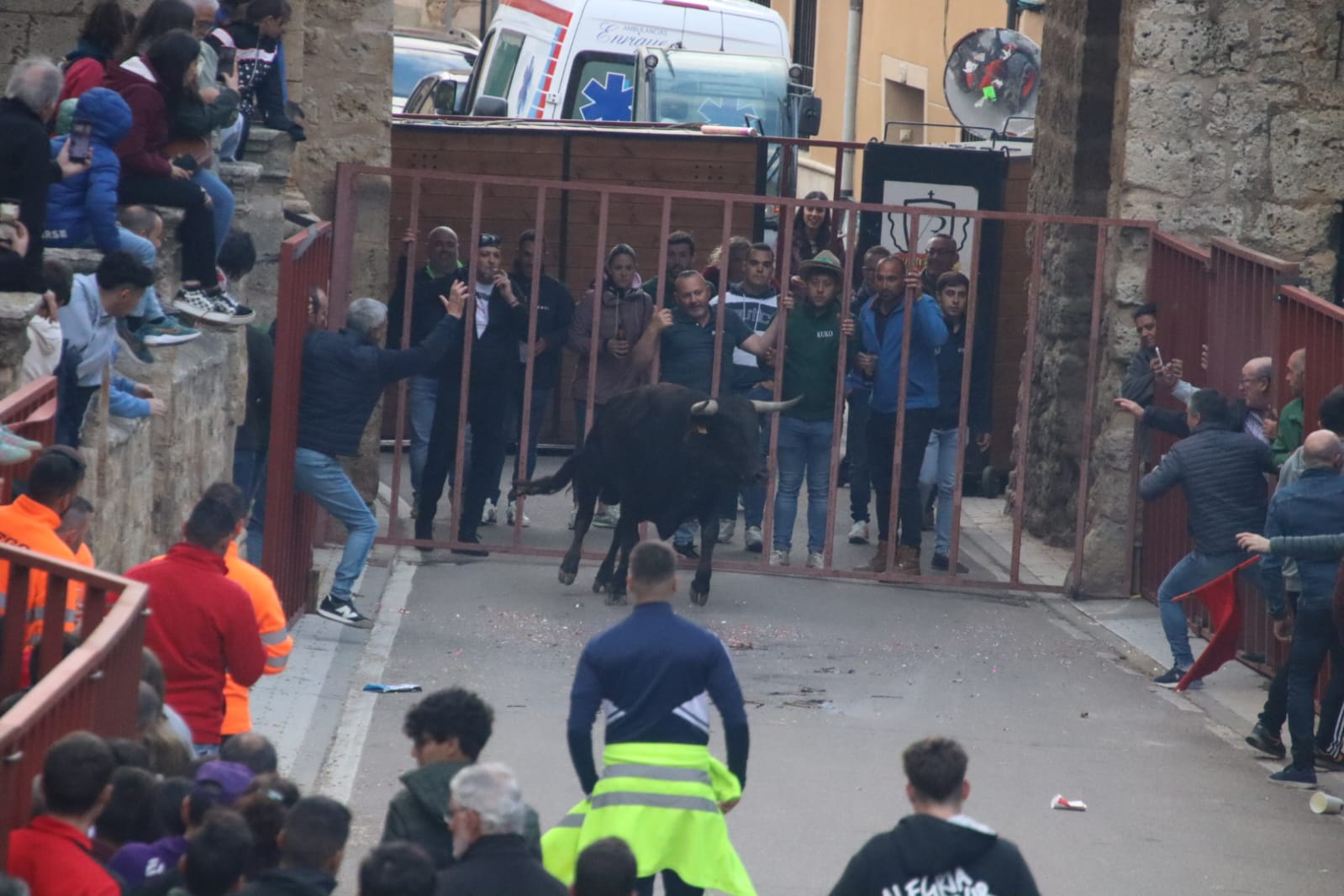 Emoción en Villabrágima con el VII Toro de la Santa Cruz