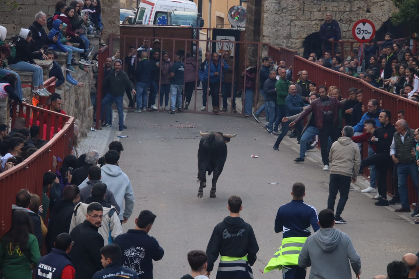 Emoción en Villabrágima con el VII Toro de la Santa Cruz