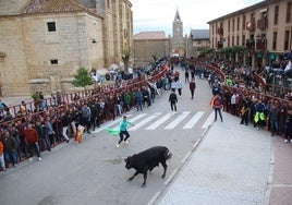 Emoción en Villabrágima con el VII Toro de la Santa Cruz