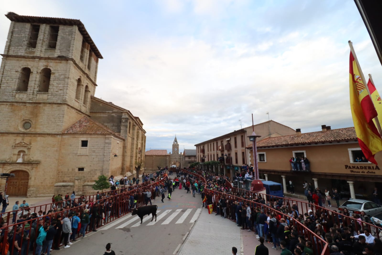 Emoción en Villabrágima con el VII Toro de la Santa Cruz