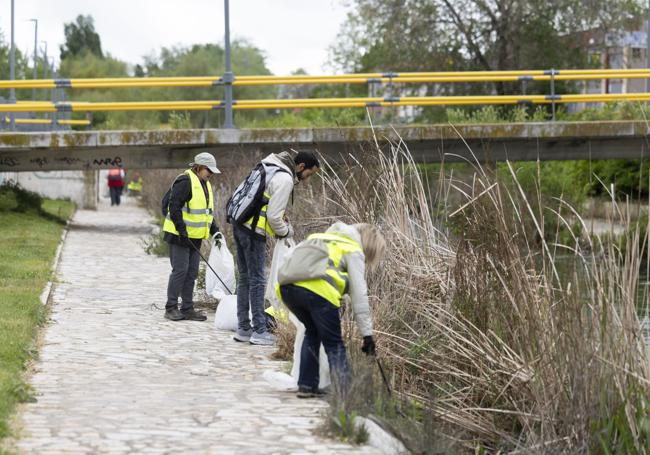 Varios voluntarios, durante las limpiezas de la Esgueva.
