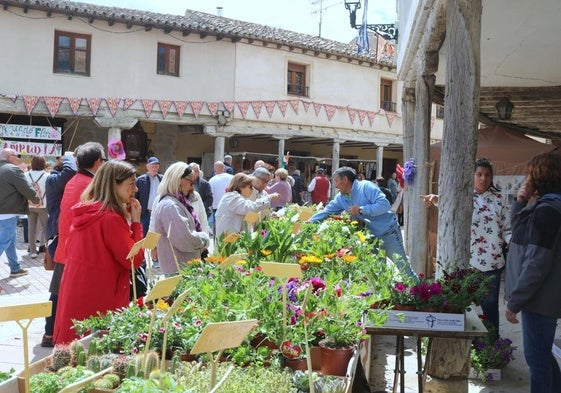 Venta de plantas en el Mercado de la Flor de Ampudia, este sábado.