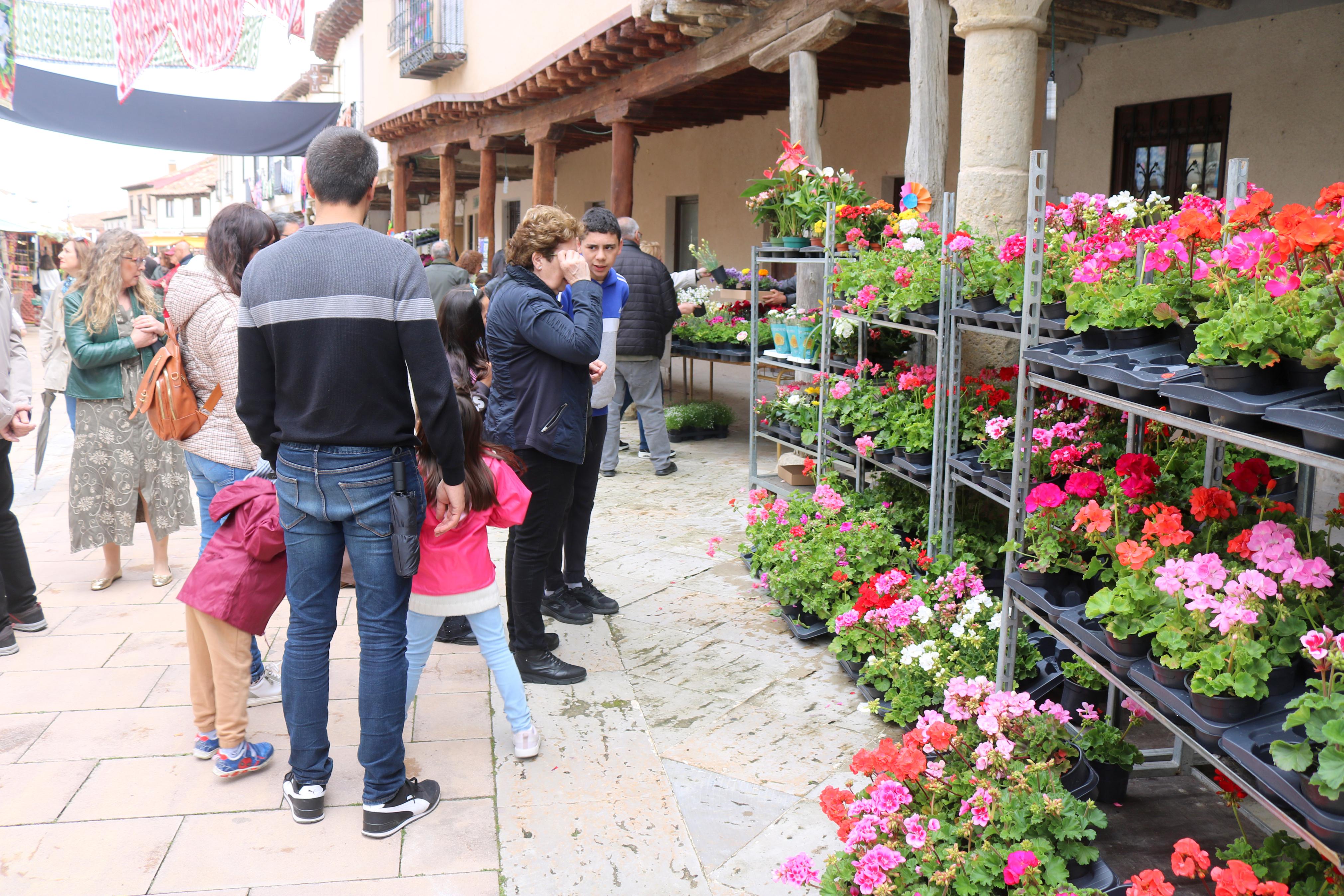 XIV Mercado de la Flor en Ampudia