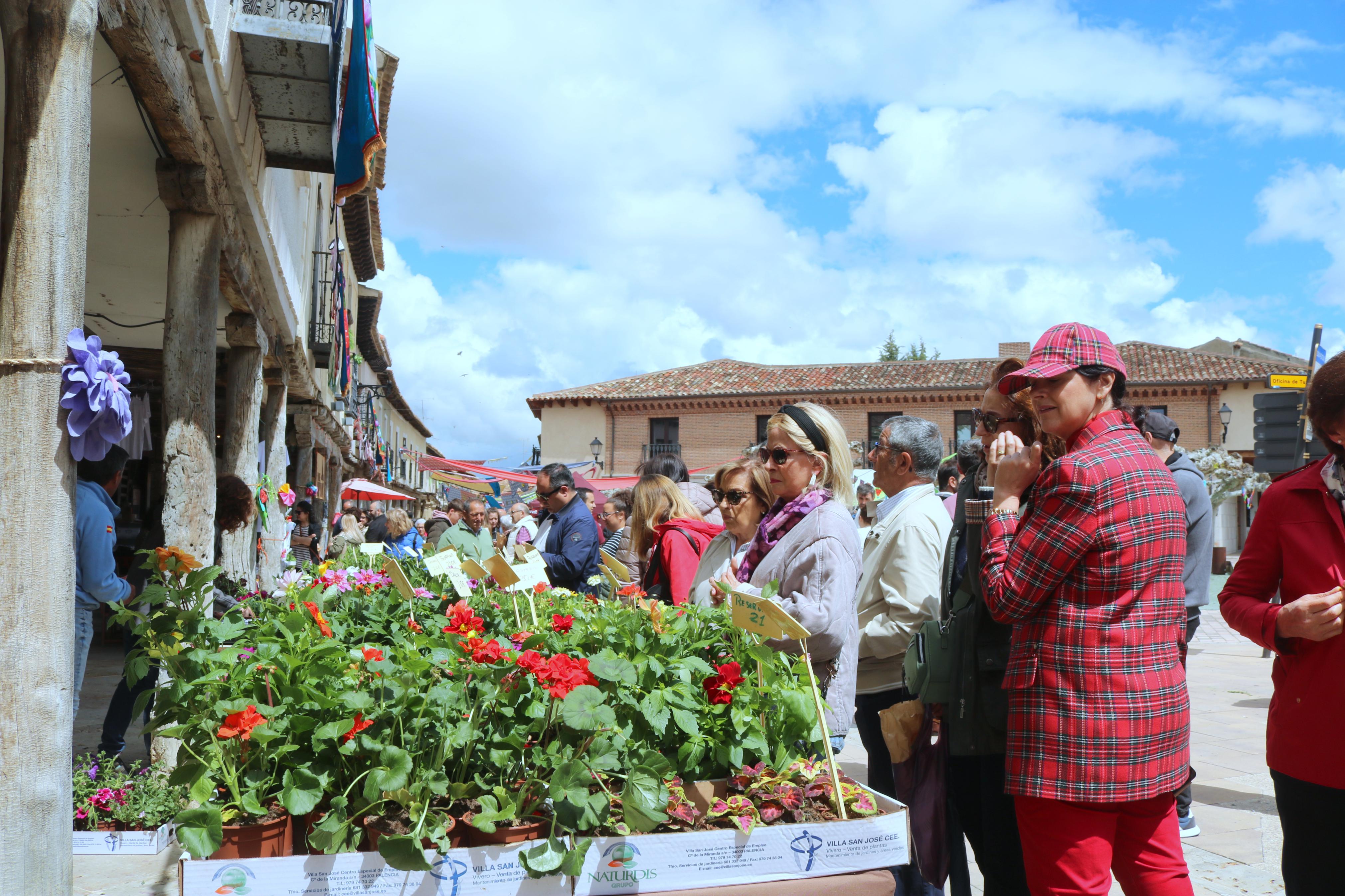XIV Mercado de la Flor en Ampudia