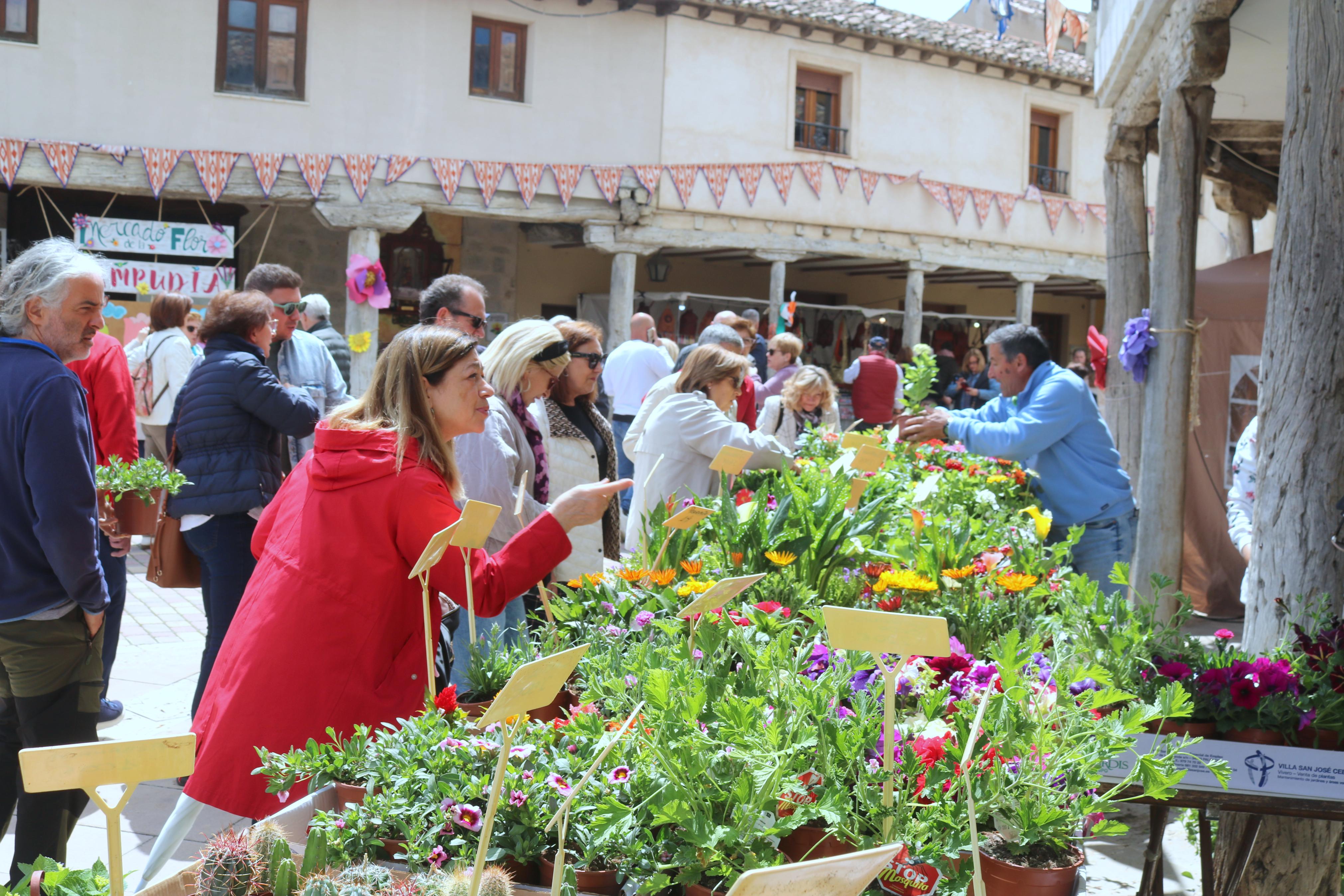 XIV Mercado de la Flor en Ampudia
