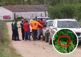 Lugar donde ha sido sacrificada la vaquilla, en el término de Villamarciel. En detalle, el lugar, entre la vegetación, donde fue localizada desde un helicóptero