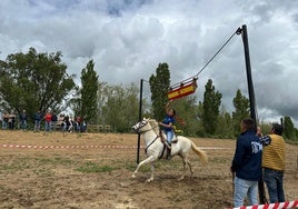 Una quinta pasa a galope bajo el cajón en su intento de sacar una cinta