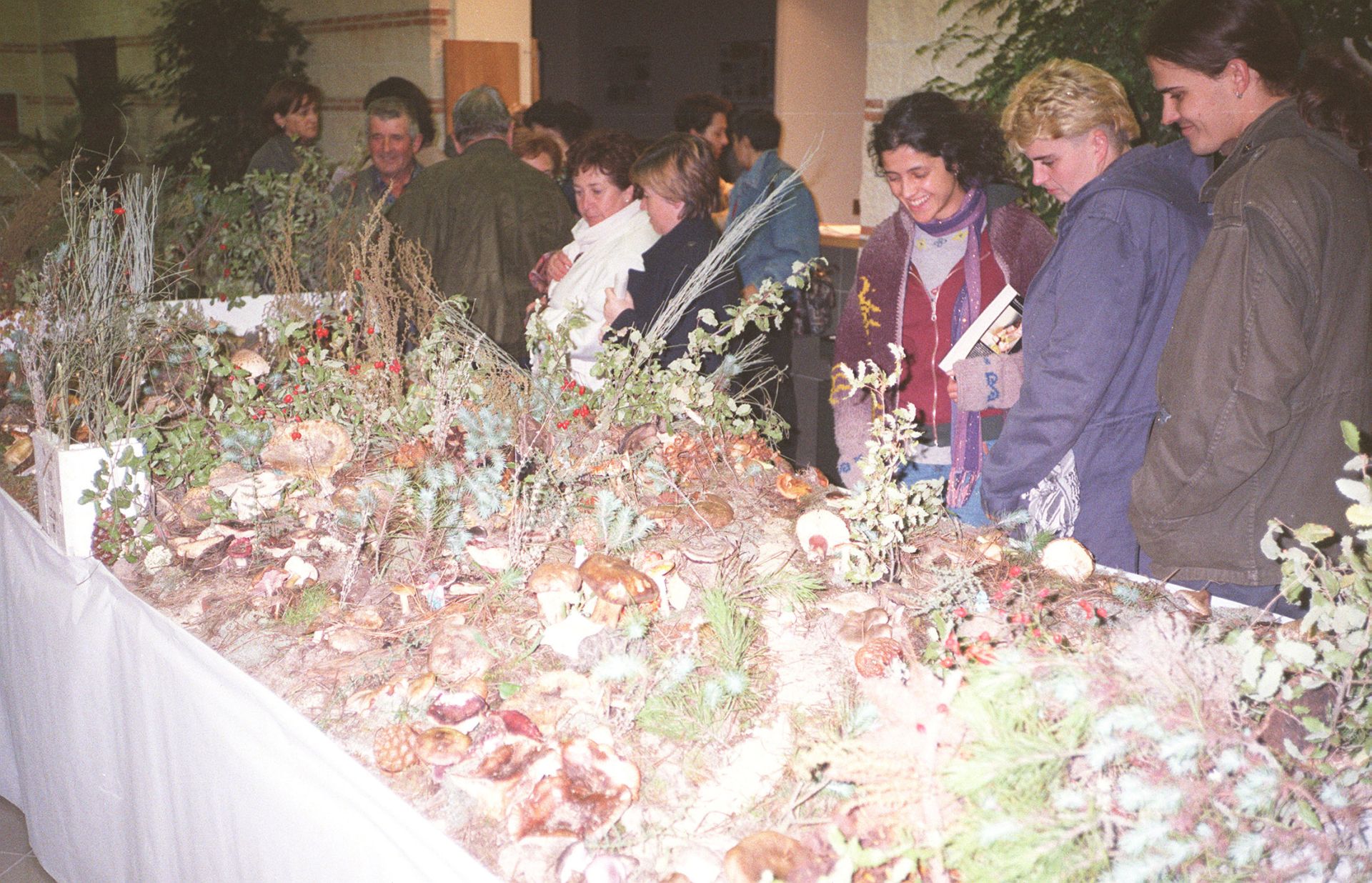 Exposición de setas con motivo de las jornadas micológicas celebradas en el municipio. 9 de noviembre de 1999.