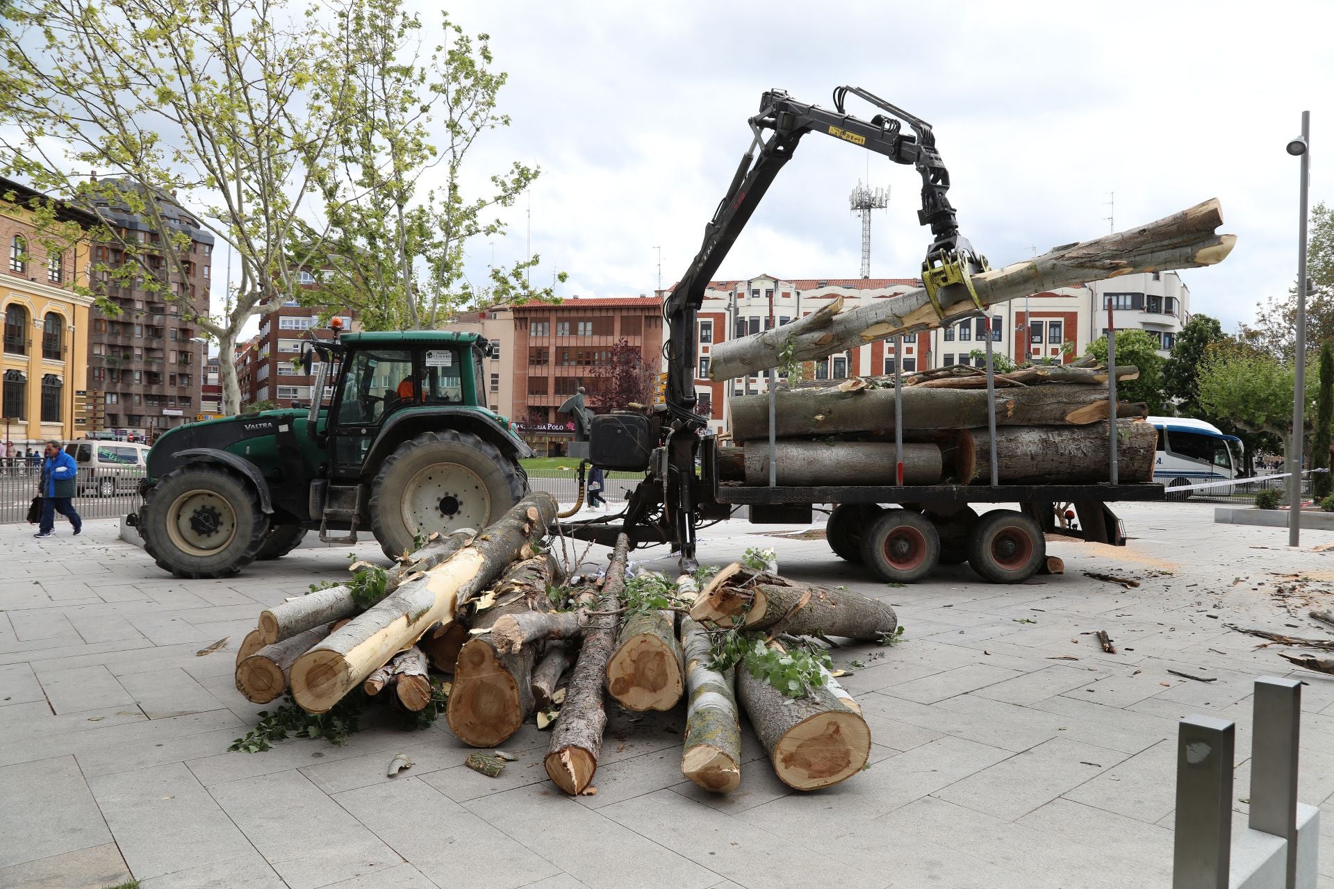 Tala de árboles en mal estado en el parque de Jardinillos de Palencia