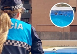 Momento del rescate de los patos en la urbanización.
