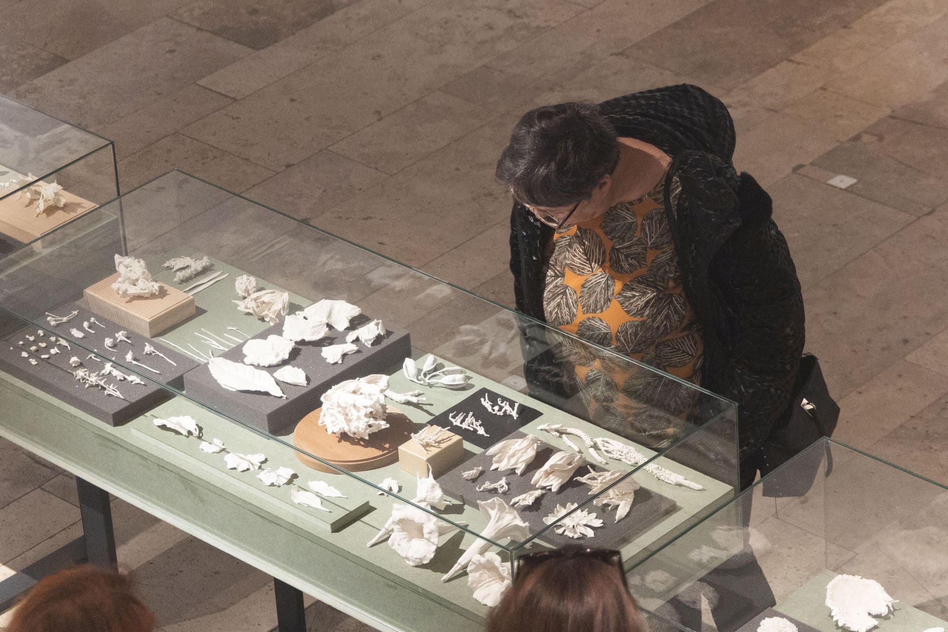 La sala de la Pasión acoge la exposición &#039;También los dioses habitaron estas tierras&#039;