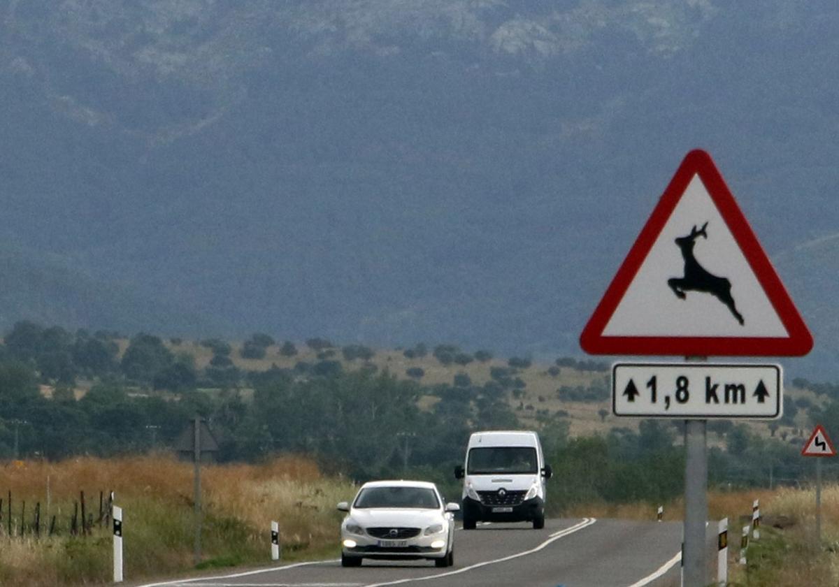 Señales inteligentes alertarán de la presencia de animales en carreteras de cinco provincias