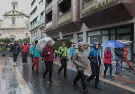 Participantes en el recorrido simbólico de la Marcha de Aspanis.