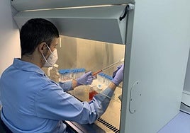 Un profesional del Instituto Tecnológico Agrario de Castilla y León elebora un kit de PCR.