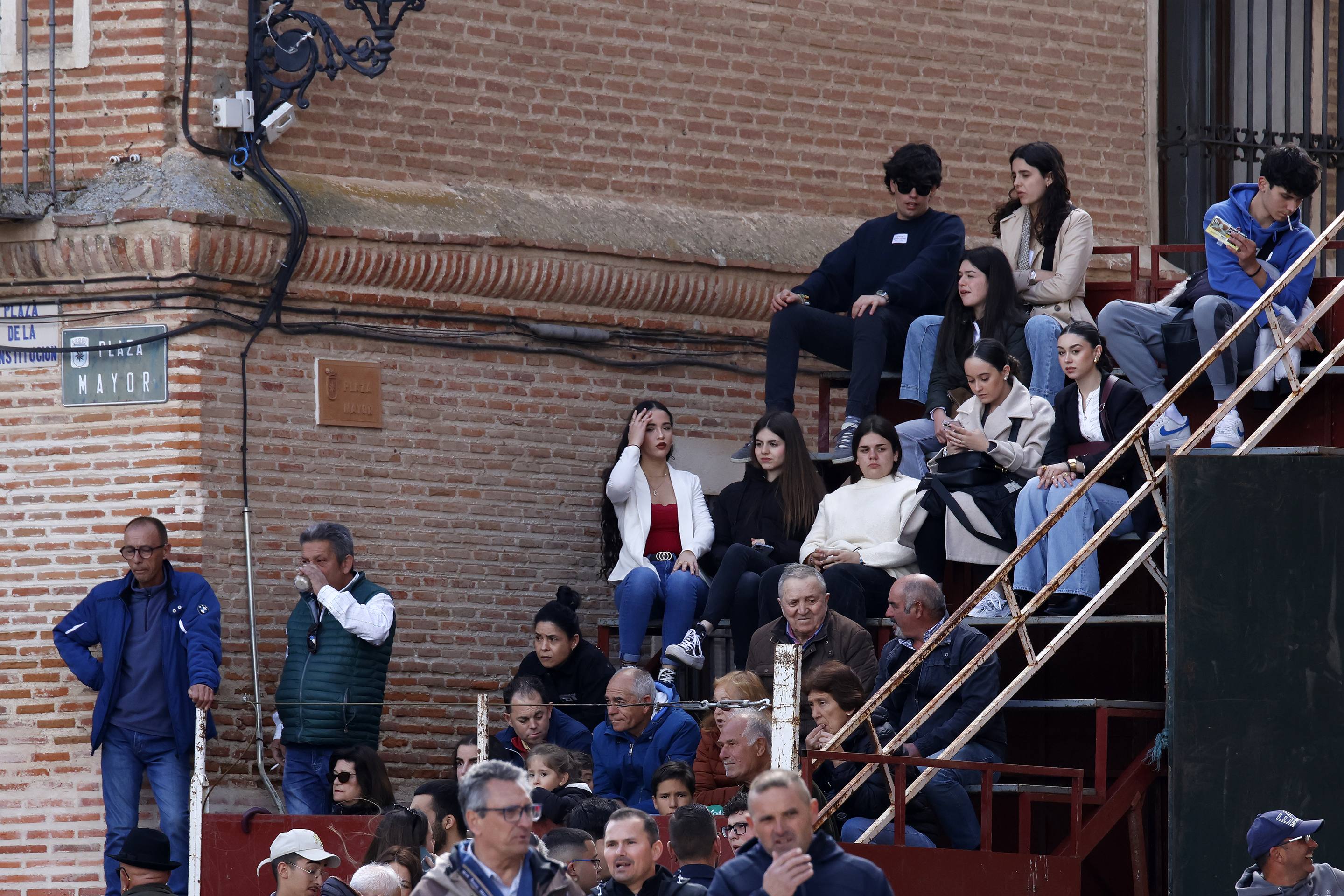 El Toro de la Casita de Alaejos, en imágenes