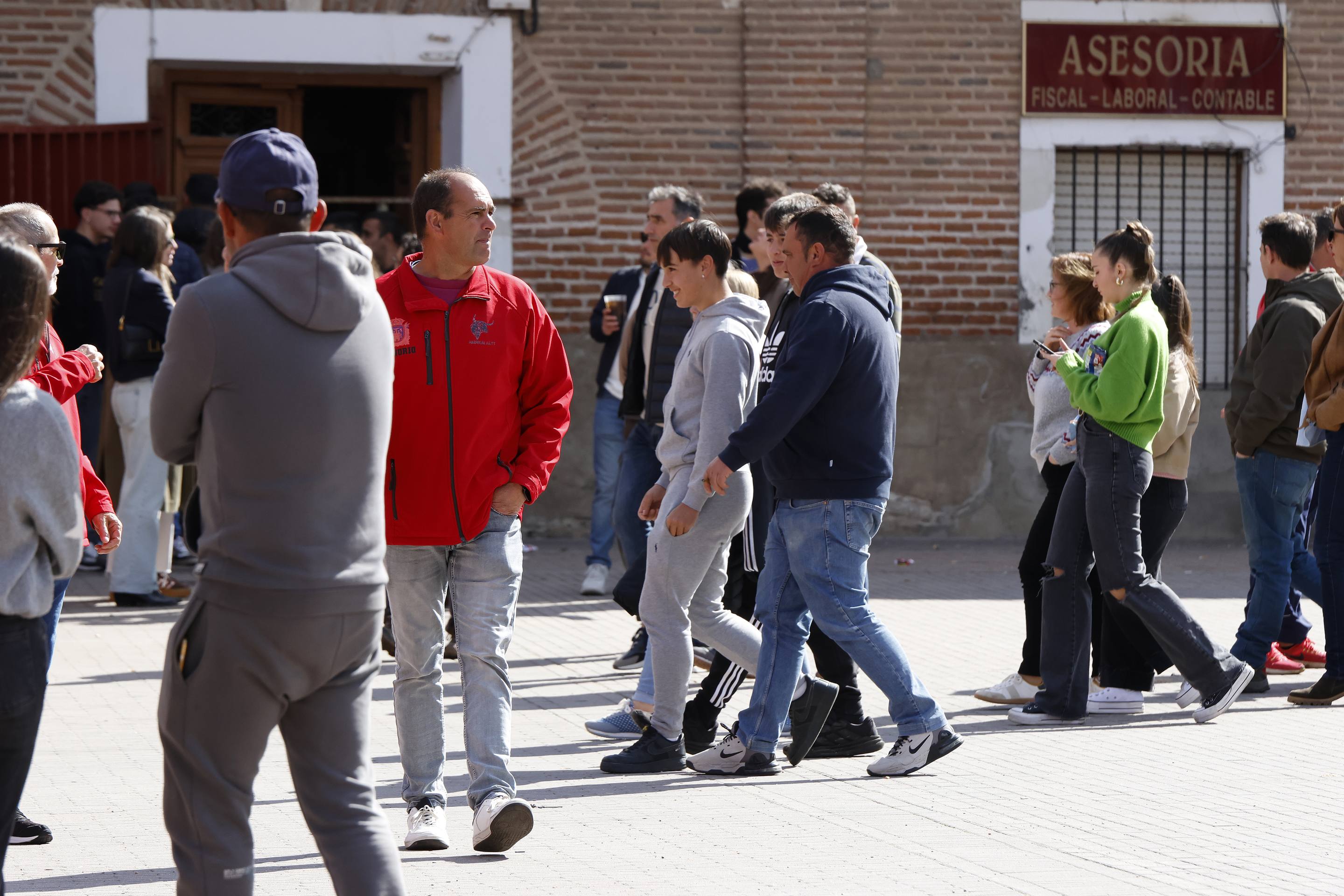 El Toro de la Casita de Alaejos, en imágenes
