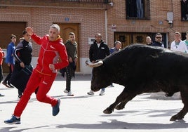 Imágenes del Toro de la Casita celebrado este sábado en Alaejos