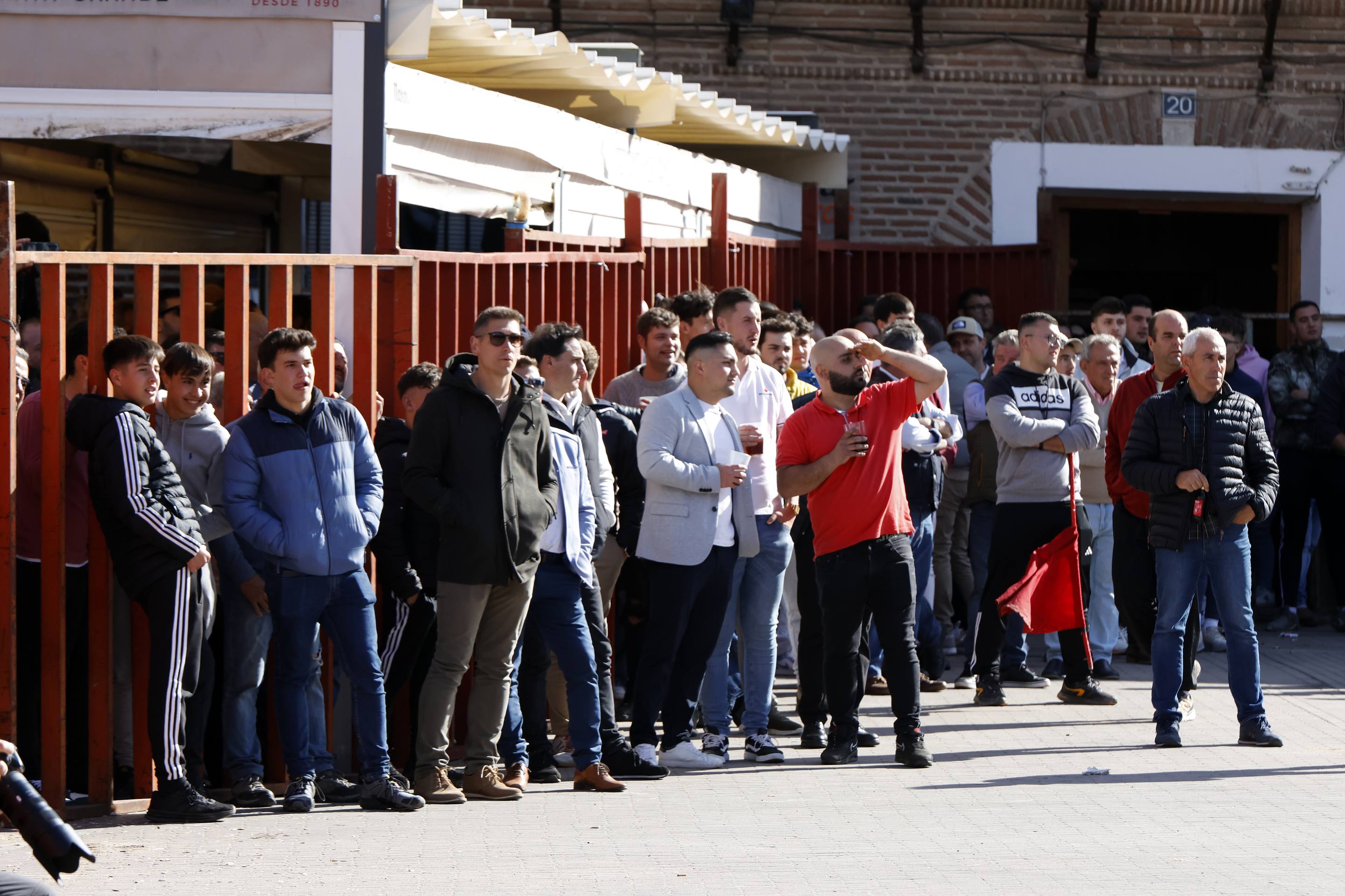 El Toro de la Casita de Alaejos, en imágenes