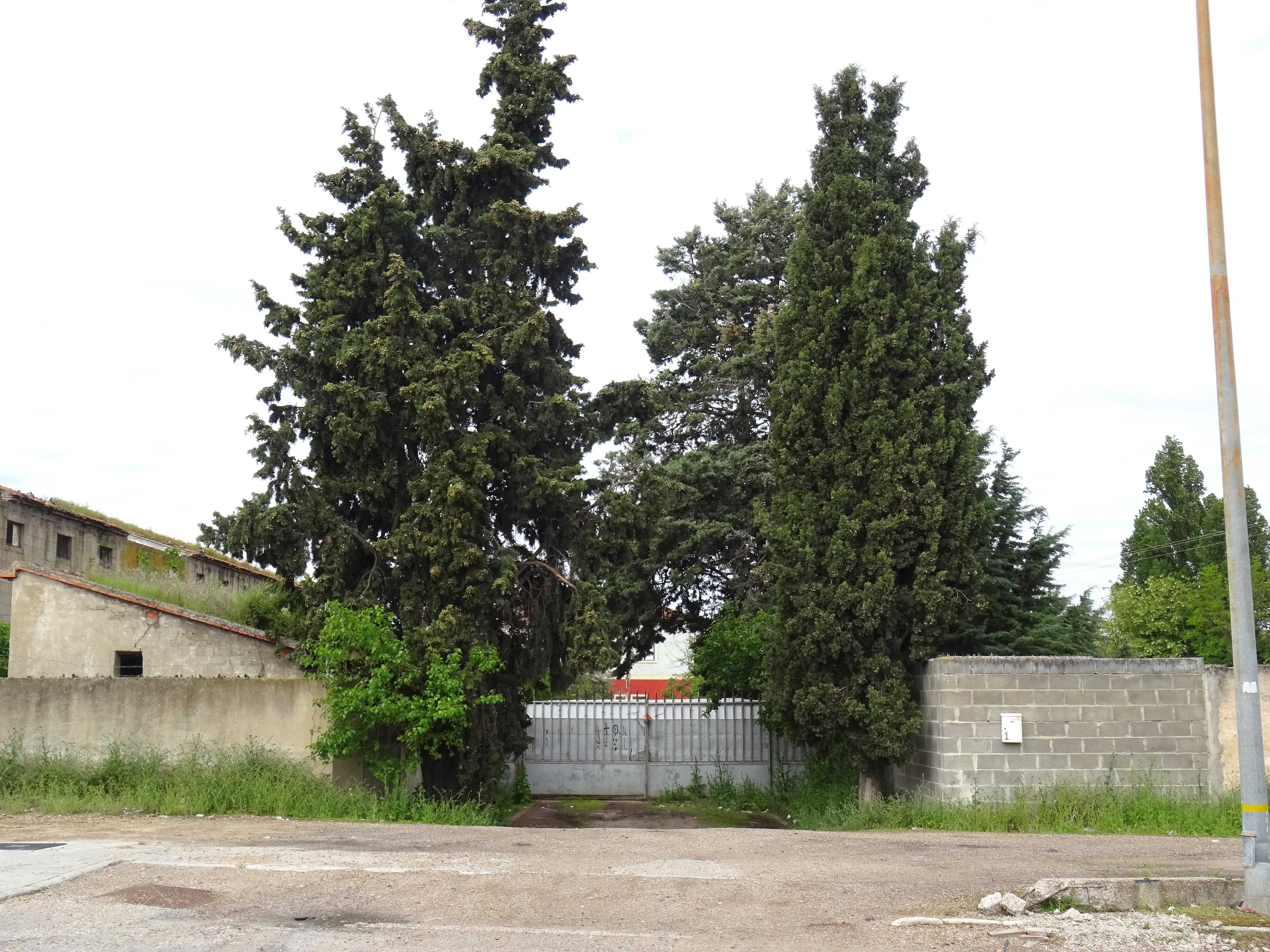 Este es el estado actual de la conocida como Granja Luisa, en Valladolid