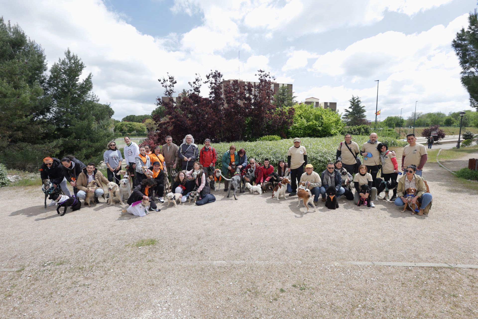Los bailes latinos en Portugalete y el desfile de perros de San Isidro, en imágenes
