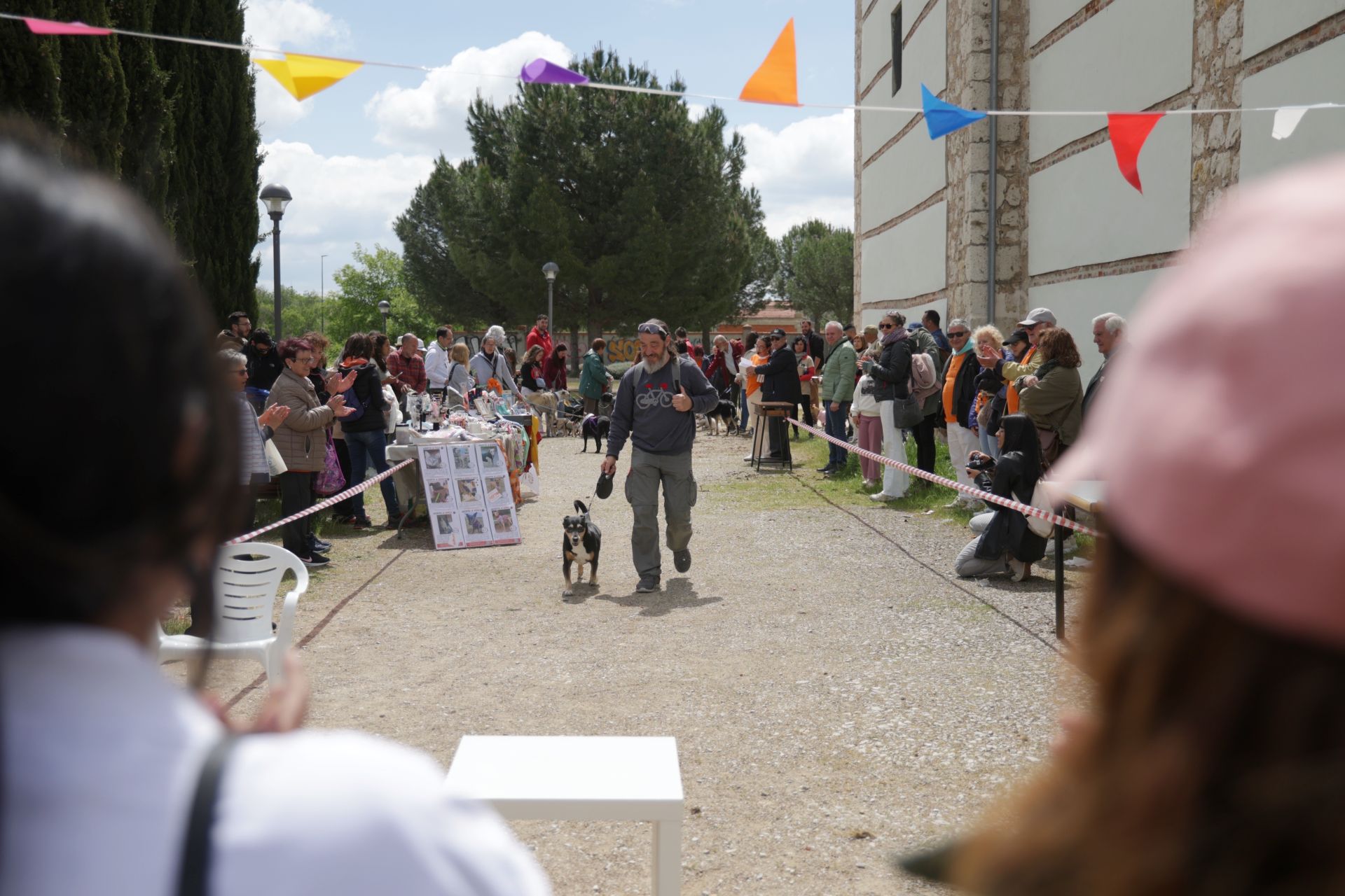 Los bailes latinos en Portugalete y el desfile de perros de San Isidro, en imágenes