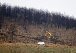 Labores de limpieza del campo en la Sierra de la Culebra en el año 2023.