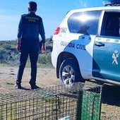 Agente de la Guardia Civil, en labores de vigilancia.