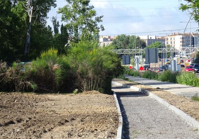 La chabola de Emilio, oculta entre la vegetación, está situada justo al borde del futuro carril bici y la acera de la ronda interior.