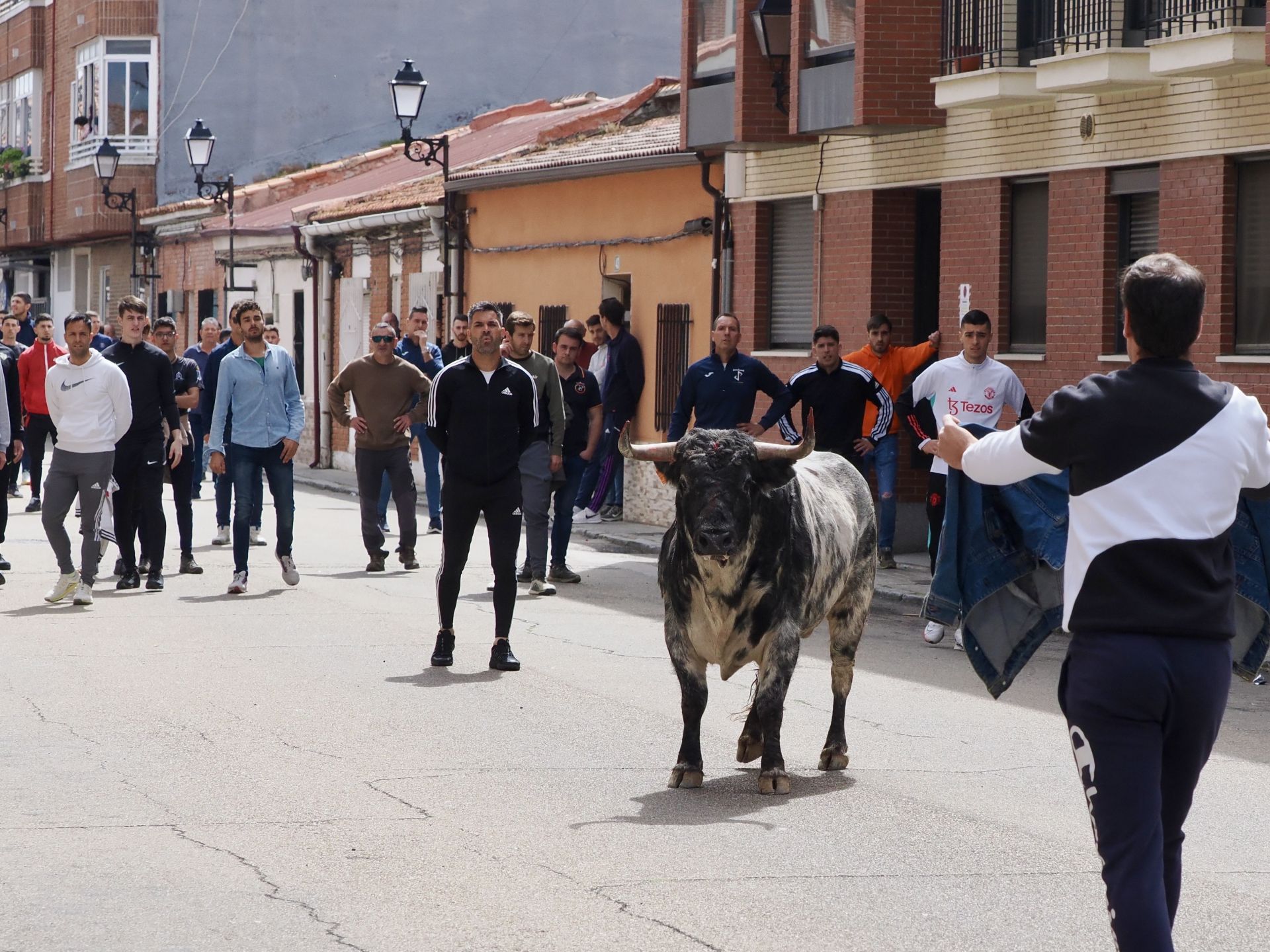 Laguna se despide de los toros de San Pedro Regalado
