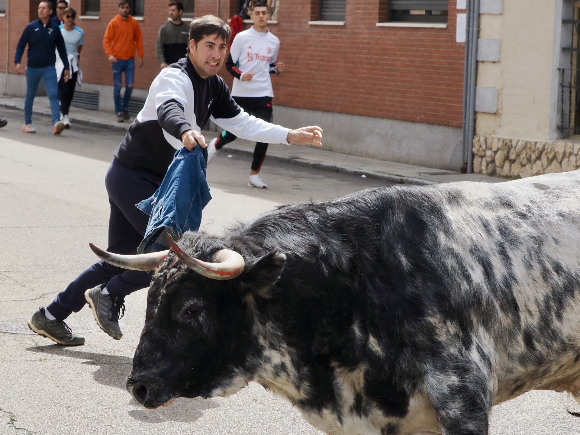 Laguna se despide de los toros de San Pedro Regalado