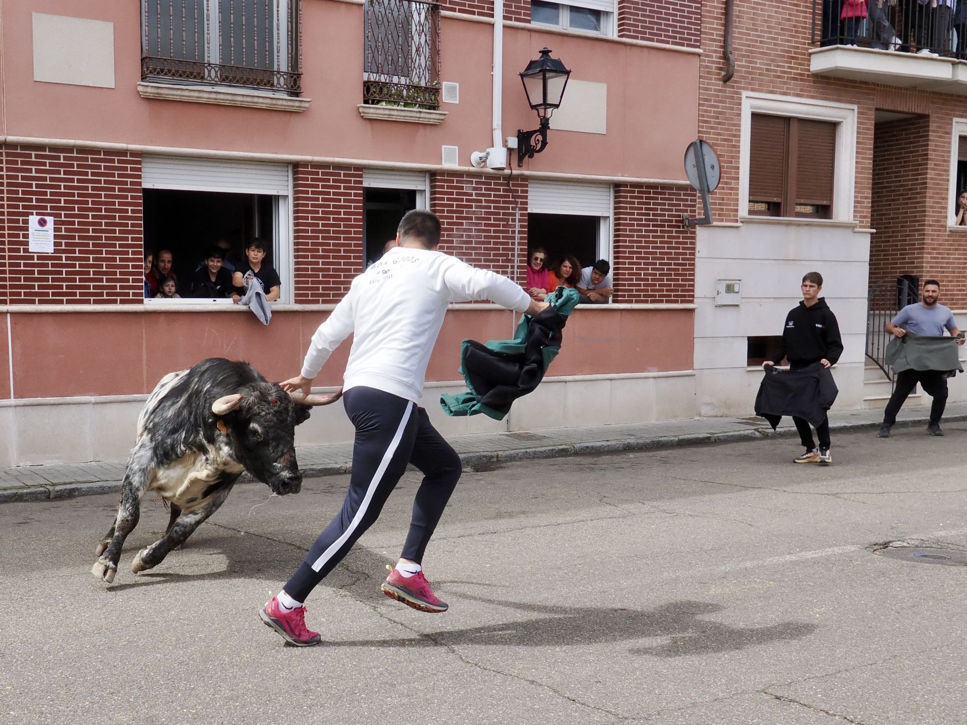 Laguna se despide de los toros de San Pedro Regalado