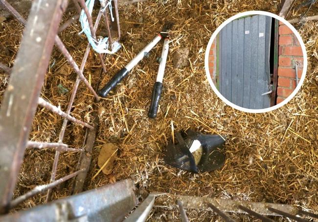 Objetos abandonados por los ladrones en la sala de ordeño. En detalle, puerta de la nave apalancada por los ladrones