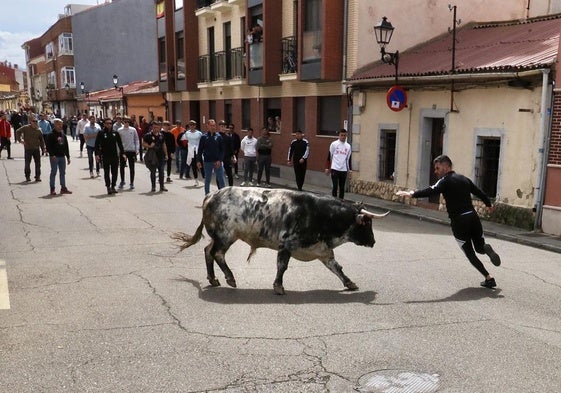 Francisco Javier Pisador 'Leguiche' cita a 'Sotillo' en las calles de Laguna de Duero.