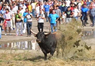 El TSJ anula las bases del Toro de la Vega aprobadas por el Ayuntamiento de Tordesillas en 2022