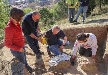 Un estudio «exhaustivo» del mastodonte determinará si se amplía la excavación
