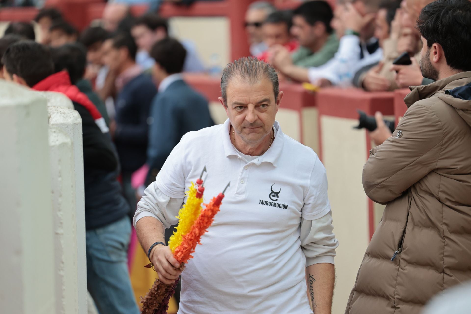 La novillada de San Pedro Regalado, en imágenes