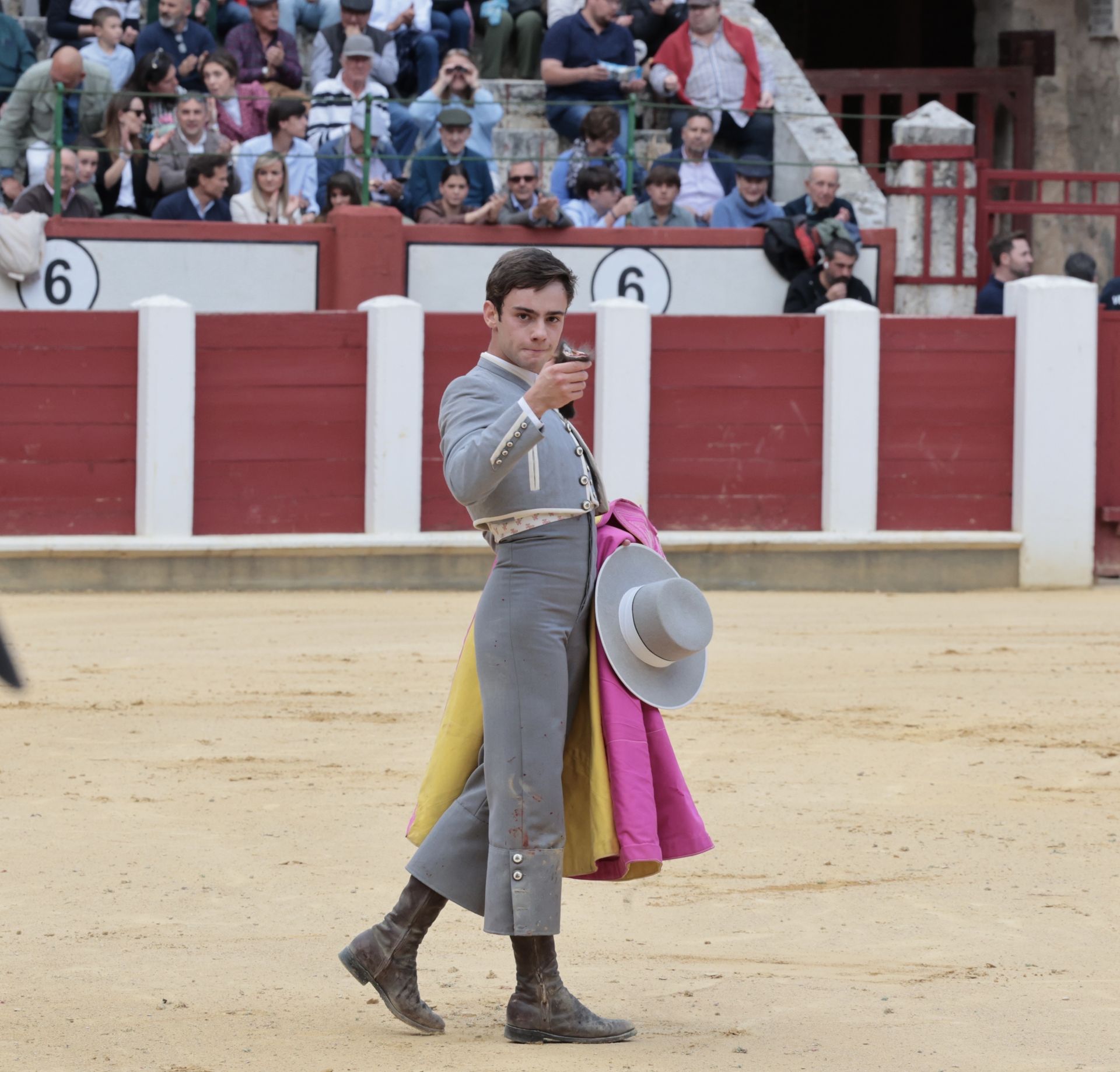 La novillada de San Pedro Regalado, en imágenes