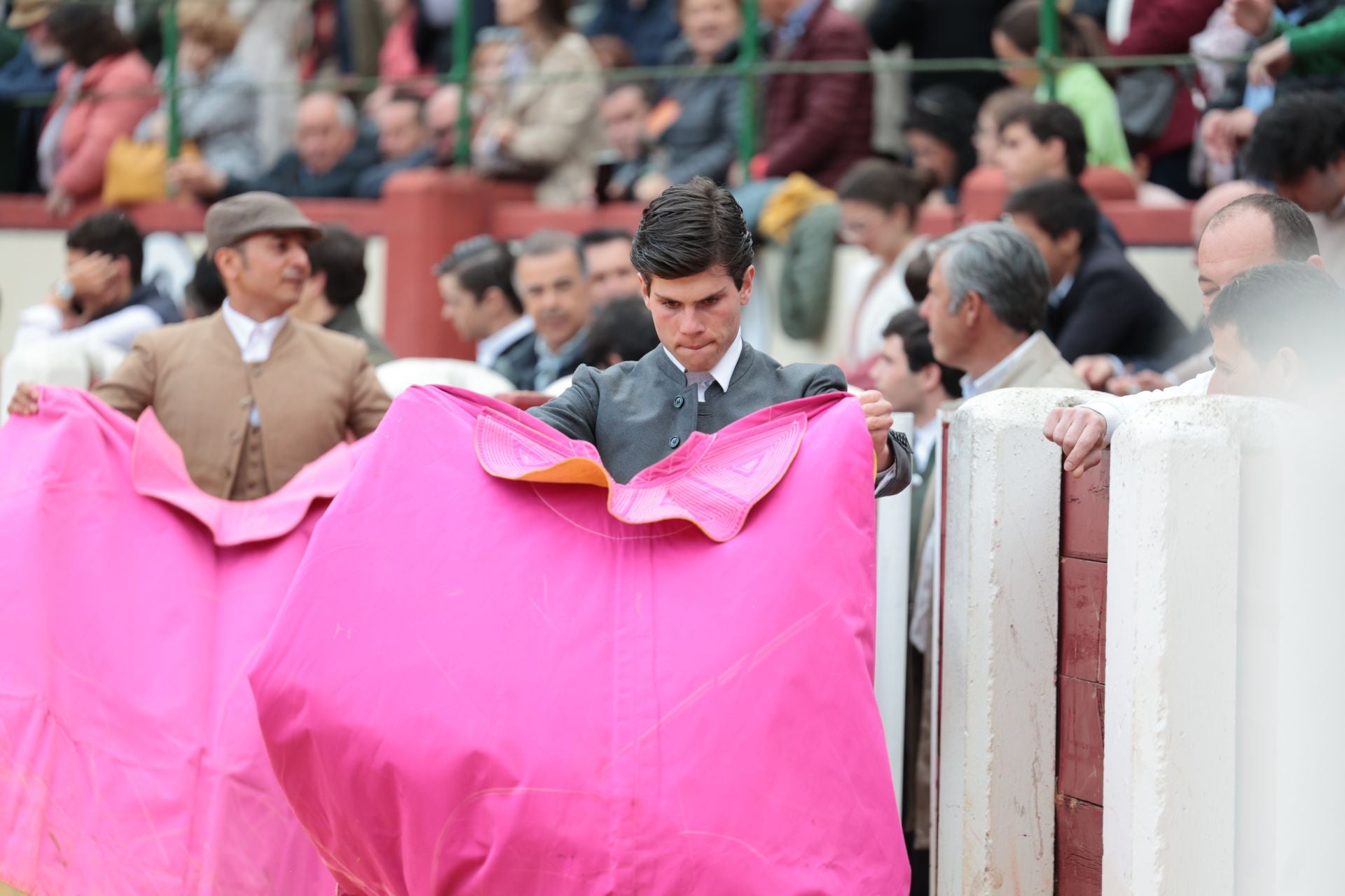 La novillada de San Pedro Regalado, en imágenes