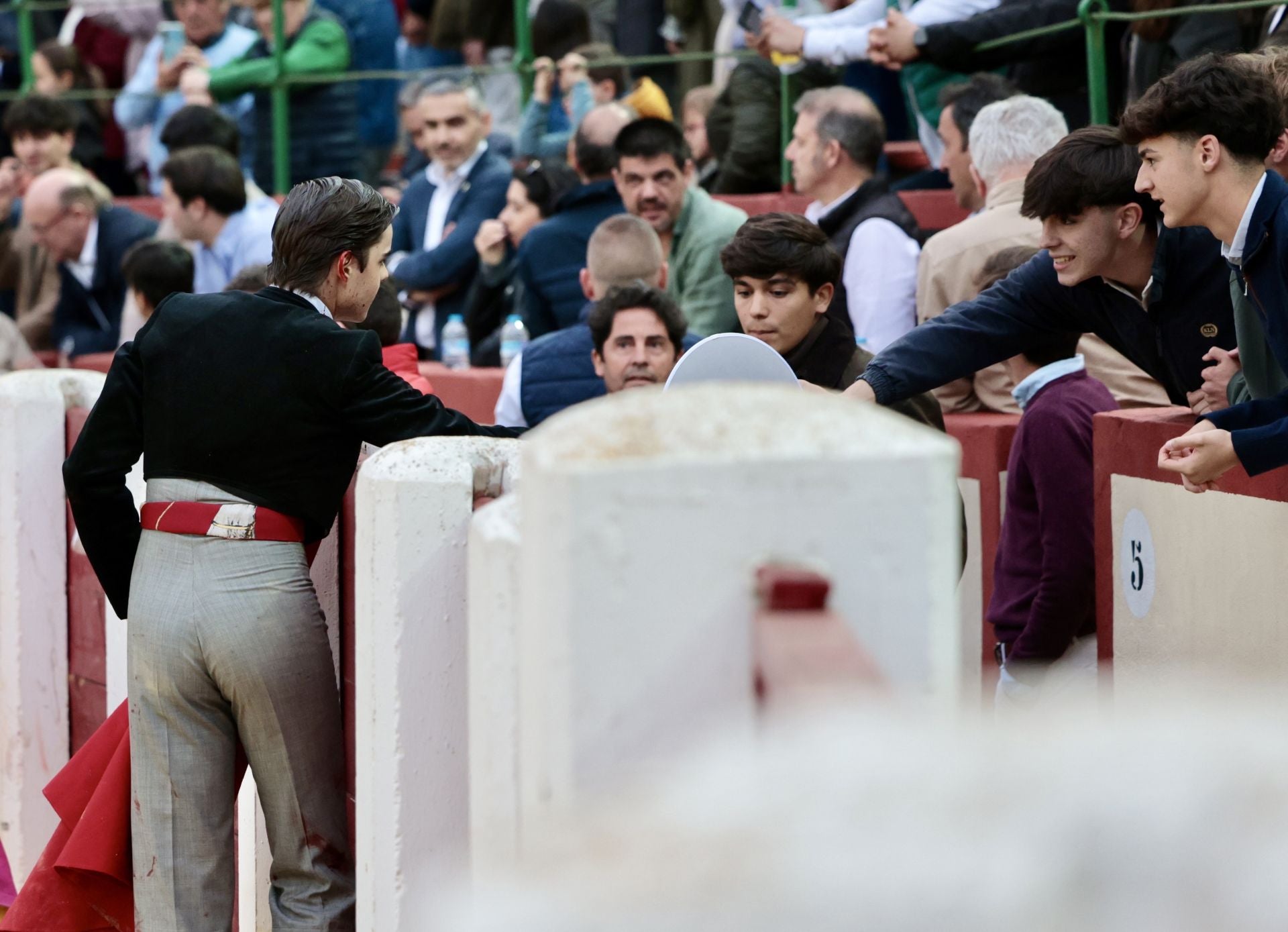 La novillada de San Pedro Regalado, en imágenes