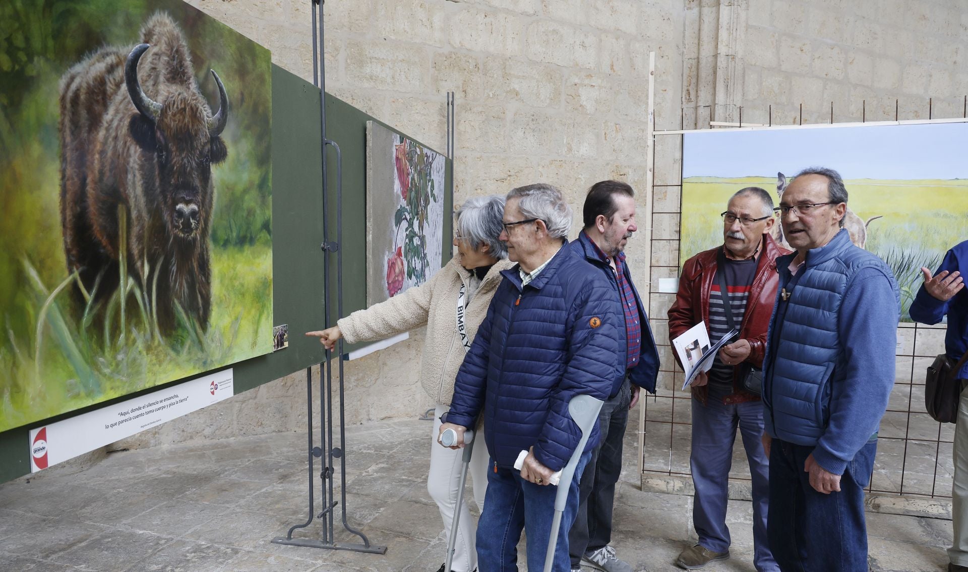 Una mirada a la Palencia rural desde la Catedral